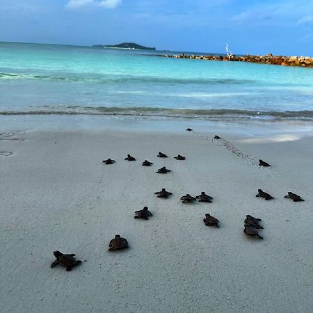 Cap Jean Marie Beach Villas Anse Kerlan  Bagian luar foto
