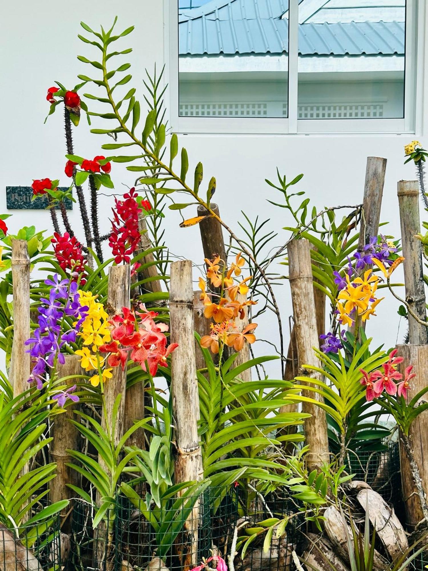 Cap Jean Marie Beach Villas Anse Kerlan  Bagian luar foto